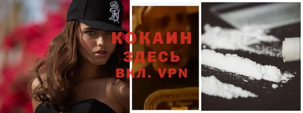 соль ск Надым