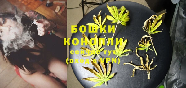 стаф Навашино