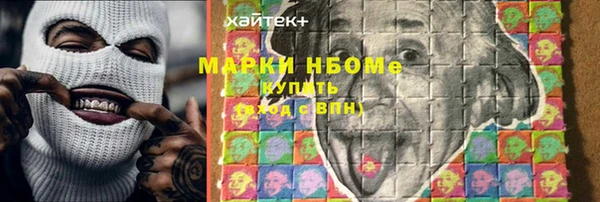 соль ск Надым