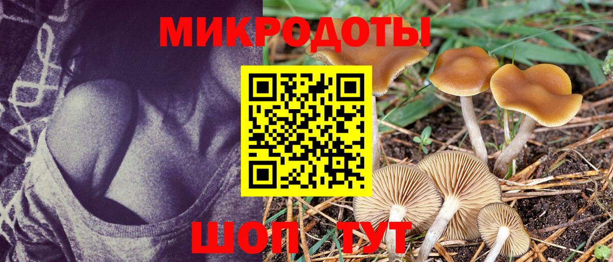 Псилоцибиновые грибы Magic Shrooms  Сыктывкар  Галлюциногенные грибы мицелий 