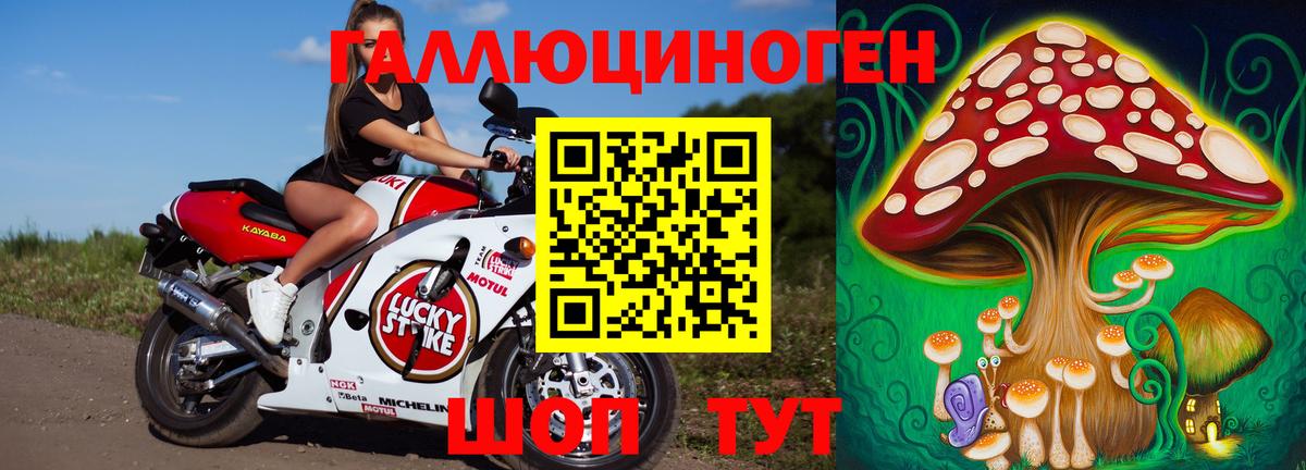 Галлюциногенные грибы Magic Shrooms Сыктывкар