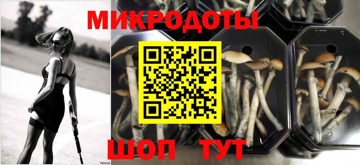 Псилоцибиновые грибы MAGIC MUSHROOMS  Вход с VPN  Сыктывкар  Псилоцибиновые грибы Cubensis 